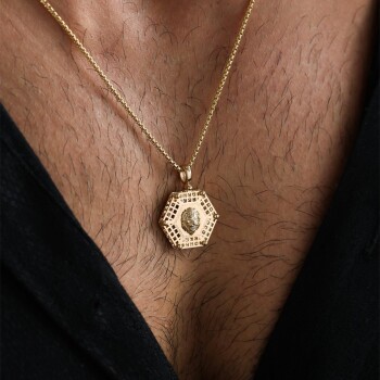 Altıgen Aslan Pia Erkek Kolye - Koçak (1)