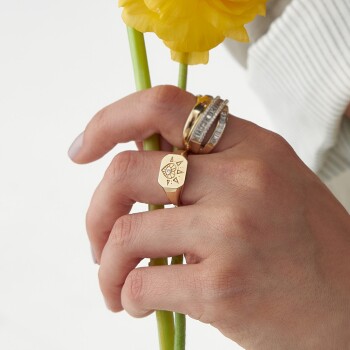 Amun Şovalye Yüzük - Rayna