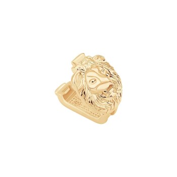 Aslan Charm - Ema (1)