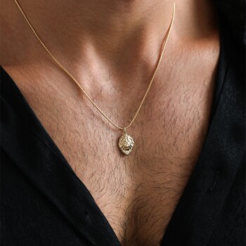 Aslan Erkek Kolye - Koçak