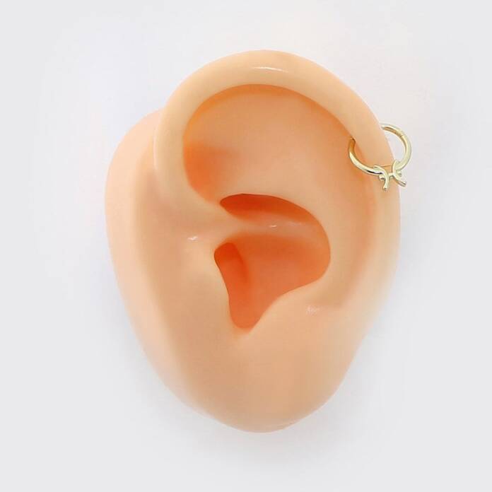 Balık Burcu Halka Helix Piercing - 2