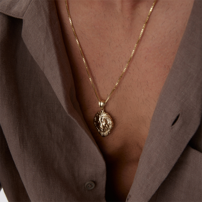 Big Aslan Erkek Kolye - Koçak (1)