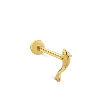 Big Balık Tragus - Alen