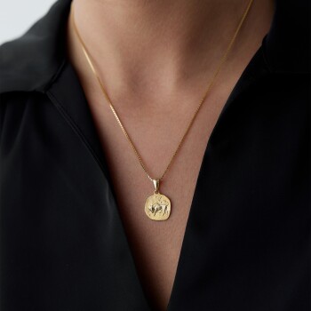 Boğa Burcu Plaka Kolye - Koçak