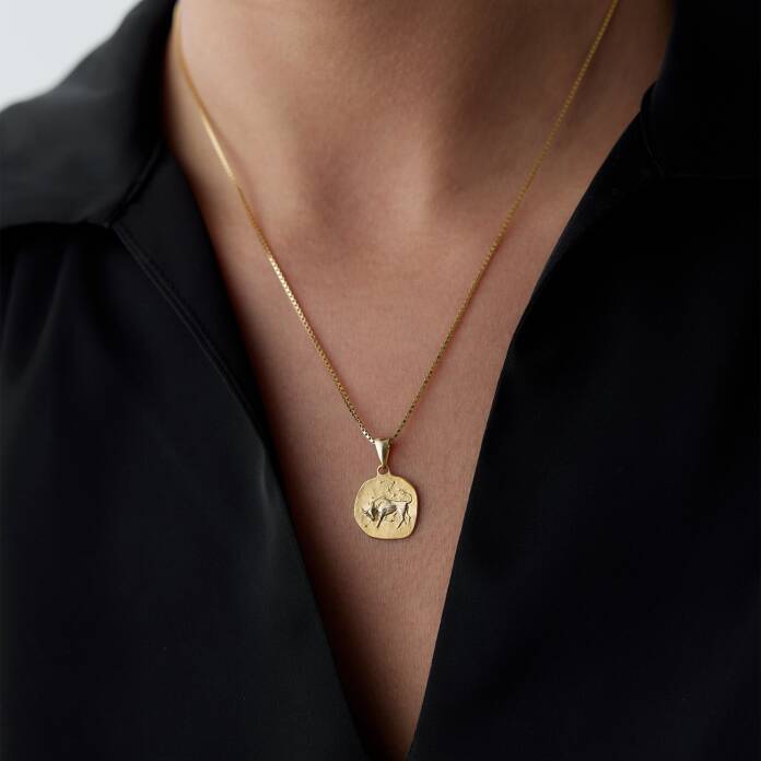 Boğa Burcu Plaka Kolye - 1