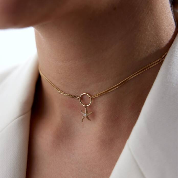 Deniz Yıldızı Chooker - 3