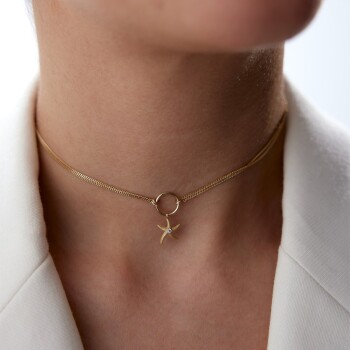 Deniz Yıldızı Chooker - Rayna (1)