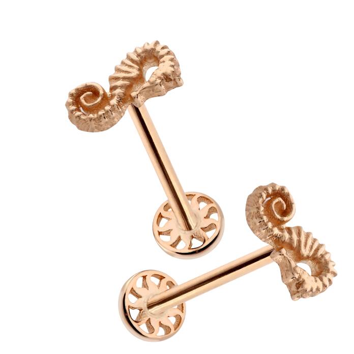 Denizatı Figür Tragus Piercing - 3