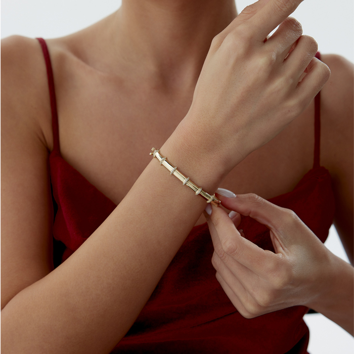 Dual Gleam Kelepçe - Fiemma (1)