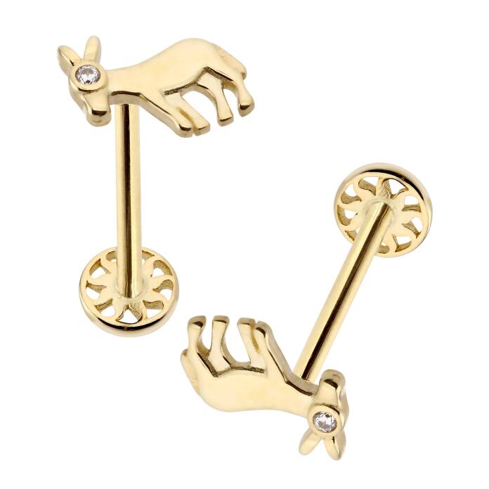 Eşek Tragus Piercing - 2