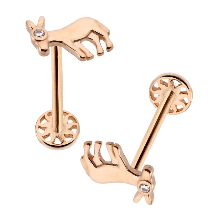 Eşek Tragus Piercing - 3