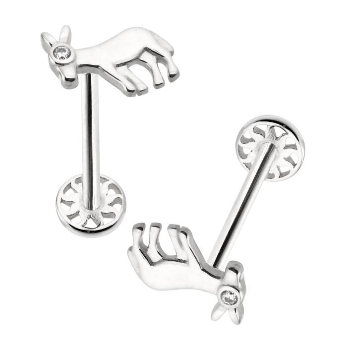 Eşek Tragus Piercing - 4