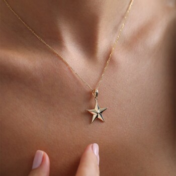 Figaro Zincire Kutup Yıldızı Kolye - Koçak (1)