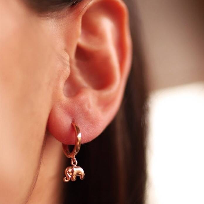 Fil Sallantılı Küpe - 1