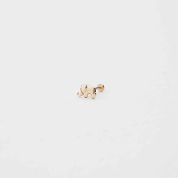 Fil Tragus - Özkonak