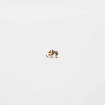 Fil Tragus - Özkonak (1)