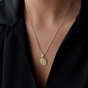 İkizler Burcu Plaka Kolye - Koçak