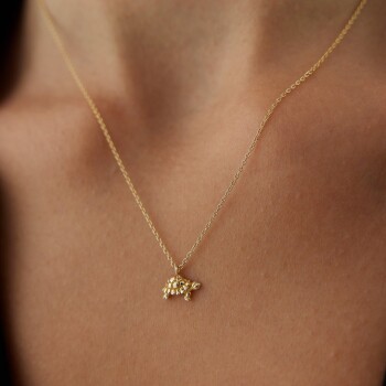 Kaplumbağa Kolye - Alen