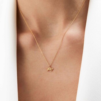 Kaplumbağa Kolye - Alen (1)