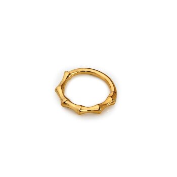 Kemik Helix Piercing - Alen