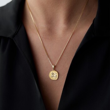 Koç Burcu Plaka Kolye - Koçak