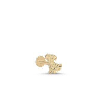 Köpek Tragus Piercing - Alen