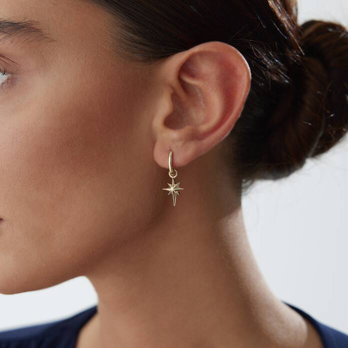 Kutup Yıldızı Detaylı Küpe - 1