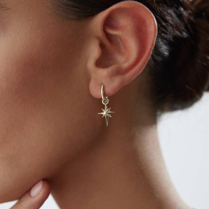 Kutup Yıldızı Detaylı Küpe - 2