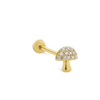 Mantar Tragus - Alen