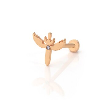 Mikail Kılıcı Tragus Piercing - Alen