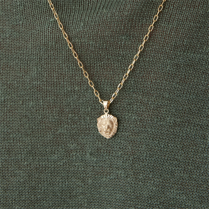 Mini Aslan Erkek Kolye - 1