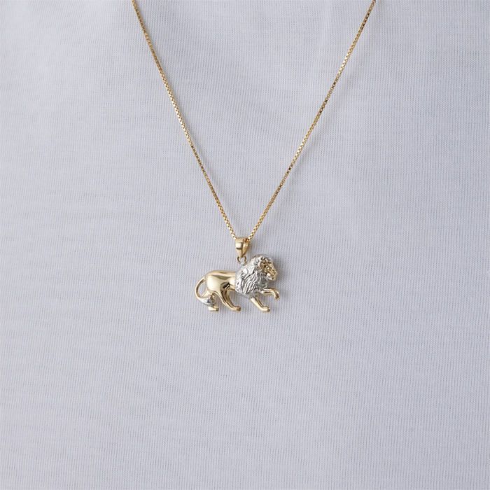 Minimal Aslan Erkek Kolye - Cemart