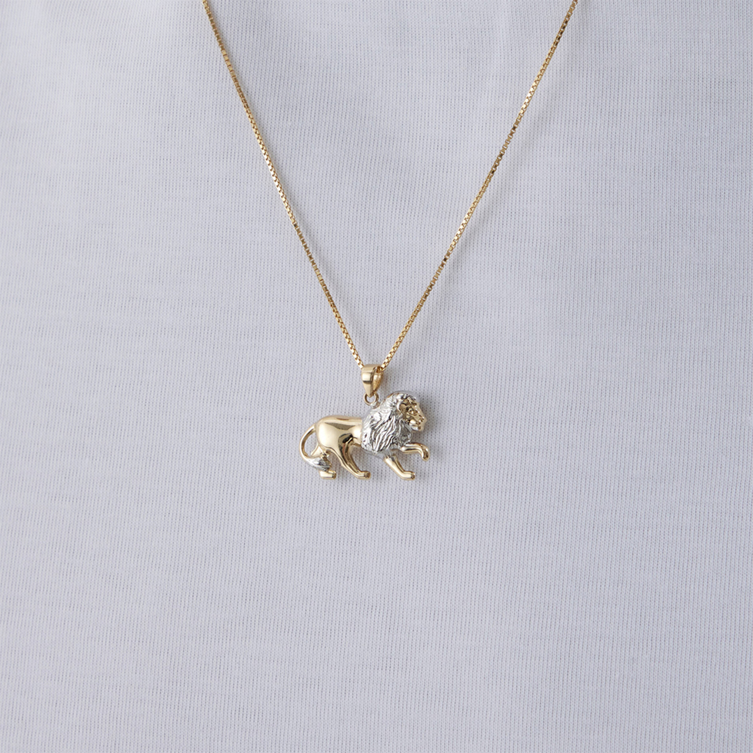 Minimal Aslan Erkek Kolye - 1