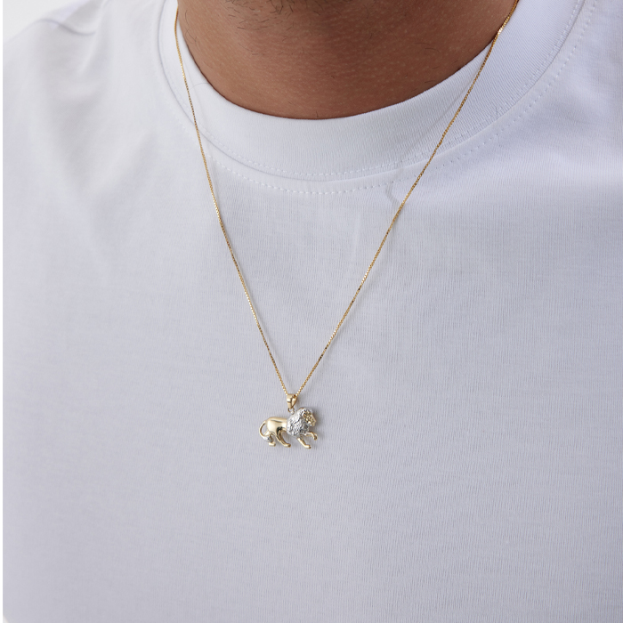 Minimal Aslan Erkek Kolye - Cemart (1)