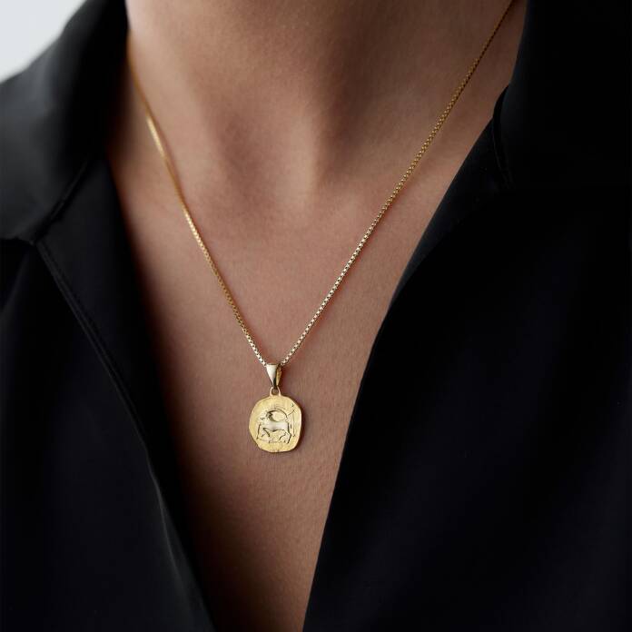 Oğlak Burcu Plaka Kolye - 1