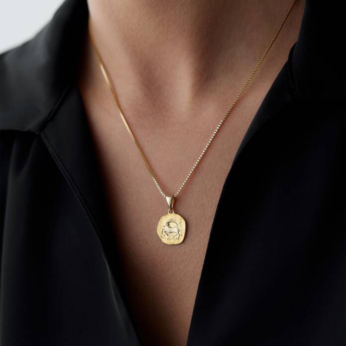 Oğlak Burcu Plaka Kolye - 2