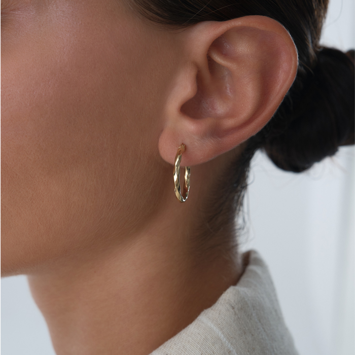 Shine Burgu Küpe - Karacan (1)