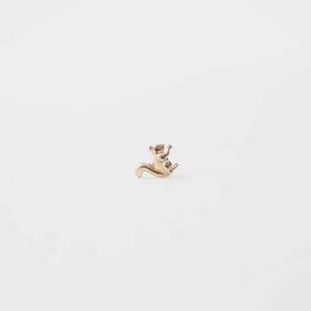 Sincap Tragus Piercing - Özkonak (1)