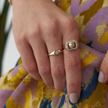 Şövalye Aslan Yüzük - Rayna