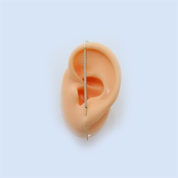 Taşlı Hook Baston Küpe - Dianora (1)