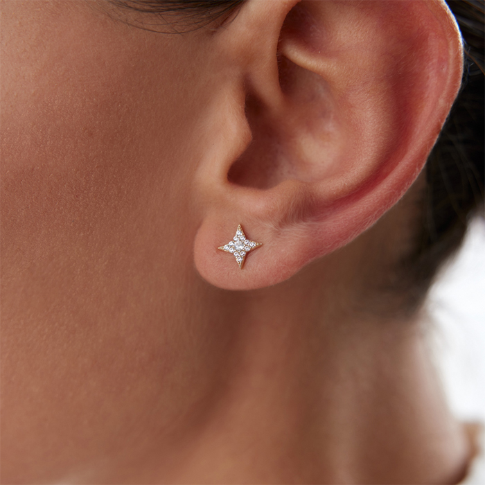 Taşlı Kutup Yıldız Vidalı Küpe - Rayna (1)