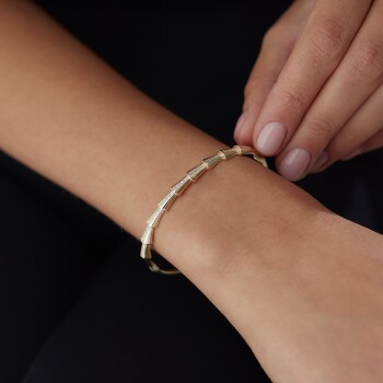 Teleostei Kelepçe - Özer (1)