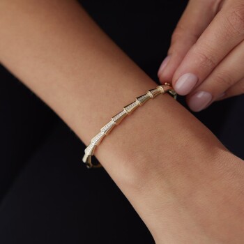 Teleostei Kelepçe - 3