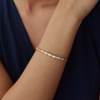 Teleostei Kelepçe - Özer