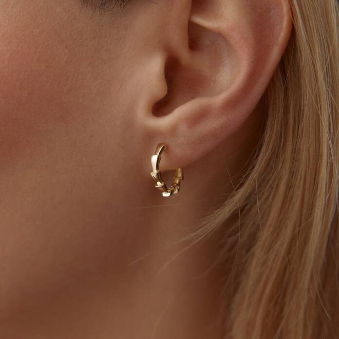 Timsah Pulu Halka Küpe - 2