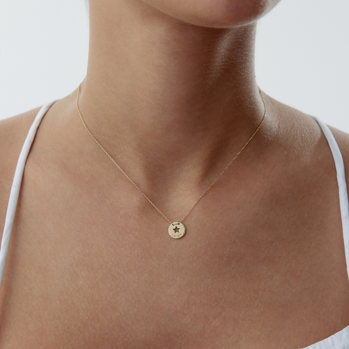 Wish Star Kolye - Özkonak