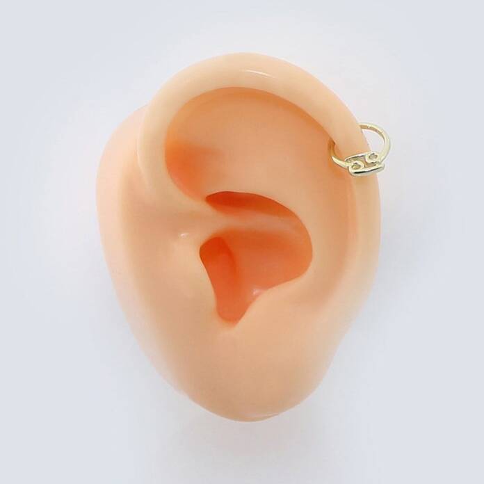 Yengeç Burcu Halka Helix Piercing - 2