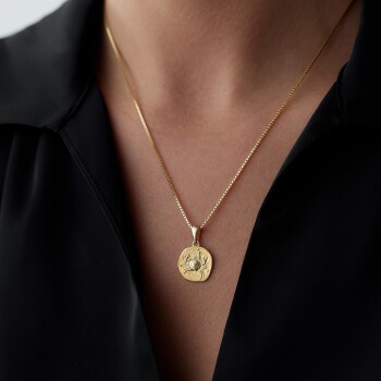 Yengeç Burcu Plaka Kolye - Koçak