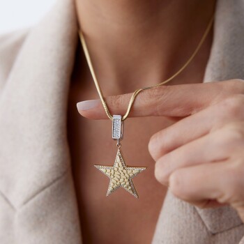 Yıldız Şovalye Kolye - Koçak